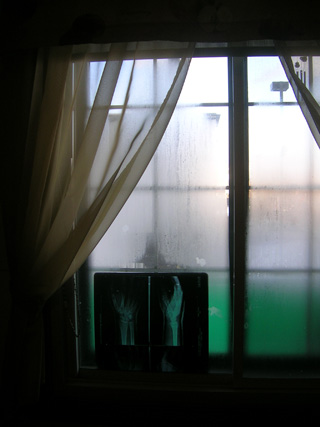 20060220curtains01.jpg